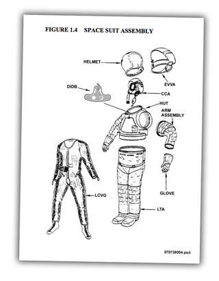 Illustration for article titled The First All-Female Spacewalk Can't Happen Because They Don't Have Enough Spacesuits That Fit